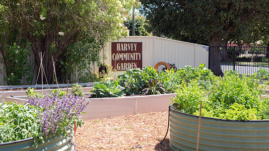 Community Garden